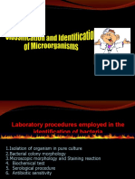 Classification Identification