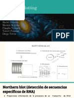 Northern Blotting