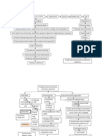 Pathway HNP