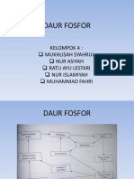 Daur Fosfor