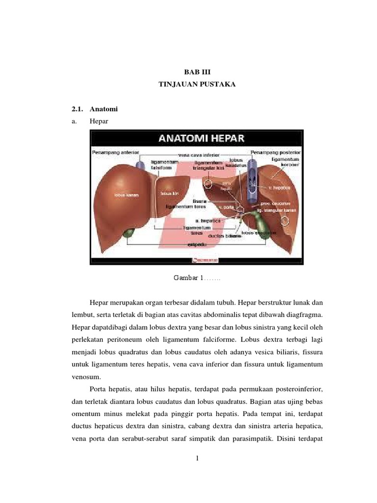 Batu Empedu: Definisi dan Klasifikasi | PDF