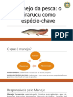 Manejo Da Pesca: o Pirarucu Como Espécie-Chave