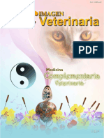 Acupuntura veterinaria.pdf