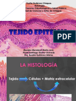 Diapositivas Tejido Epitelial PPTX Mejoradas