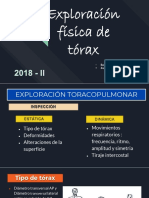 Expo Cx Toracica