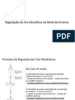 aula 05 regulação de glicolise.pdf