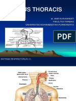 Sistem Respirasi