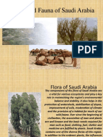 Flora and Fauna of Saudi Arabia