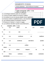 RV Morfologia 4