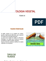 histologia vegetal 2