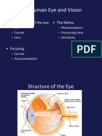 2 Chapter5eye