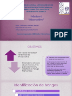 P4 Microcultivo E9 .pdf