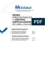 ESSALUD DIRECTORIO - Redes - Lima PDF