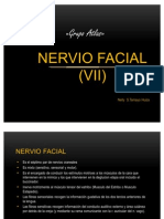 N. Facial (VII)