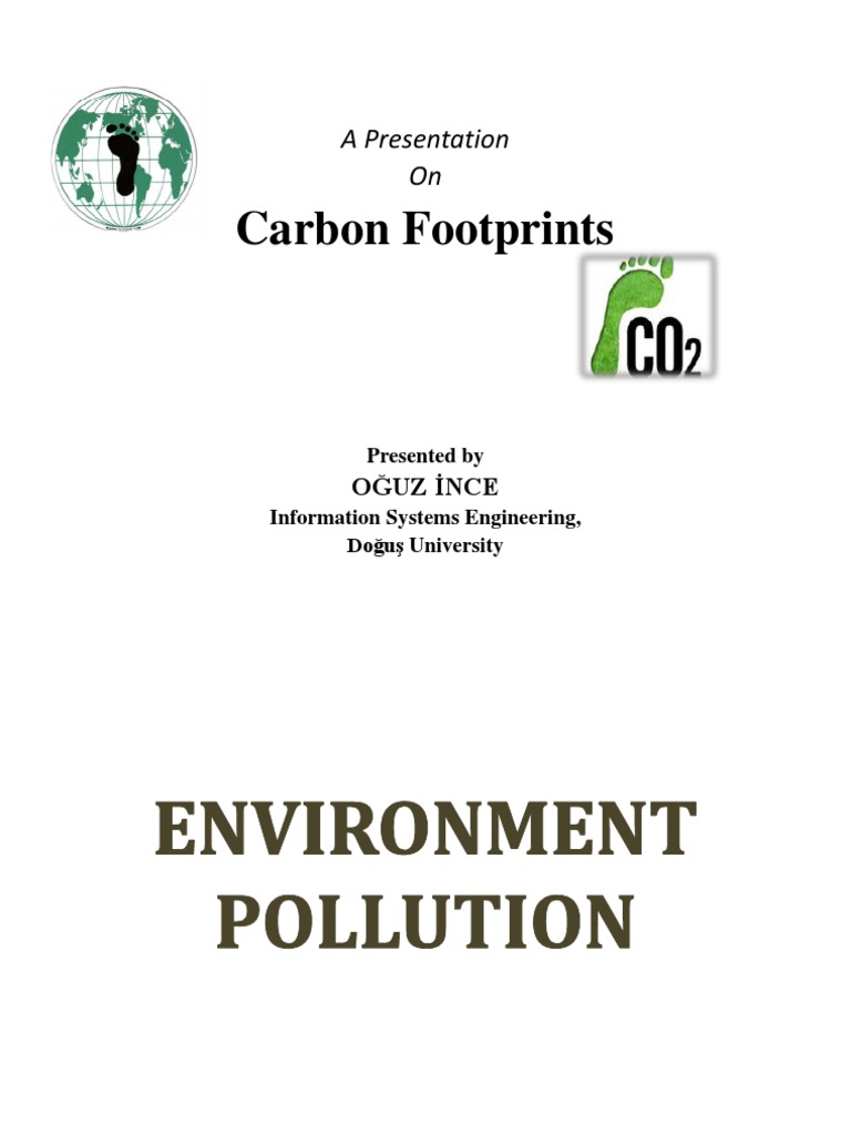 Understanding Carbon Footprints | PDF | Greenhouse Effect | Greenhouse Gas
