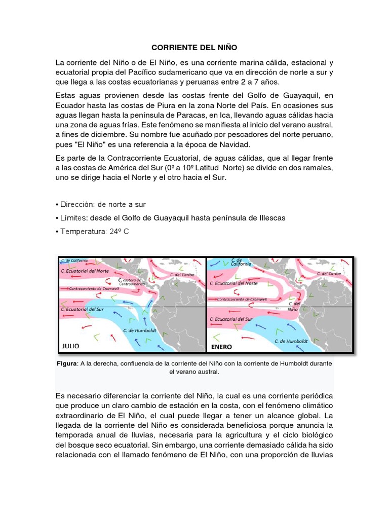 Corriente Del Niño | PDF | El niño | Herida
