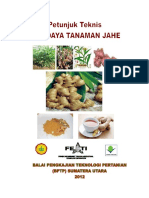 Budidaya Jahe, Brosur Buku PDF