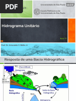 Hidrograma Unitário