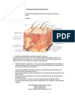 Histología Del Aparato Genital Femenino