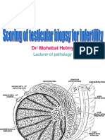 Testicular Scoring