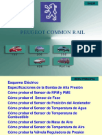 Peugeot Diesel PDF