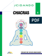 Elucidando Chacras PDF