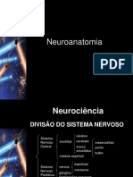 neuroanatomia (1)