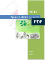 Apuntes, Clínica Del Perro. Teodogs