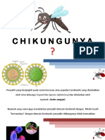 Pendidikan Kesehatan Tentang Chikungunya