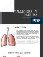 Pulmones , Pleura, Mediastino y Esofago Dr. Sanchez Bardales