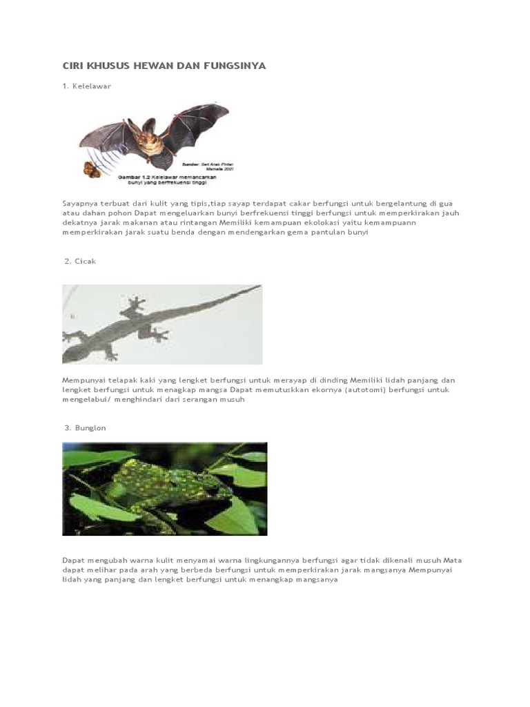 Ciri Khusus Hewan Dan Fungsinya