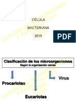 Celula Bacteriana PDF