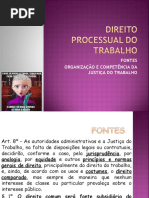 Aula_02__Fontes_Org_e_Competencia.ppt