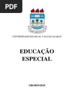 Educação Especial