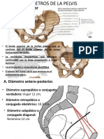 Diametros de La Pelvis