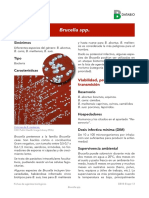 Brucella spp.pdf