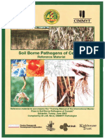 Soil Borne Pathogens of Cereals: Cimmyt