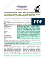 First Record of Myiasis Case by Stomoxyscalcitrans Linnaeus DipteraMuscidae in Karbala Governorate On Pigeon Chick