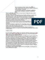 Tema 18 Pagina 5 PDF