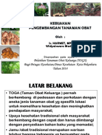 Kebijakan Pengembangan Tanaman Obat - DNS TPH Prov - Riau 2014 Ok