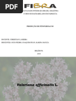 Valeriana Officinalis L-1