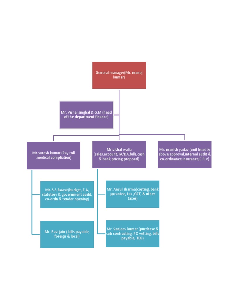 Finance Department Roles Overview | PDF