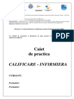 Caiet Practica INF Integral