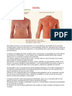 mamas masculinas y femeninas.pdf