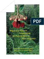 Bejucos y Plnatas Trepadoras de Puerto Rico e Isalas Virgenes PDF