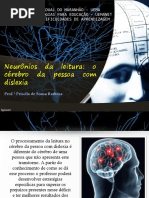 Slide 02 - Neurônios Da Leitura - o Cérebro Da Pessoa Com Dislexia