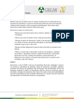 Informe Final- Problemas y Estrategias de La Enseñaza