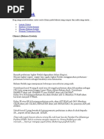 vapaa eebenpuu lesbo Tribbing porno