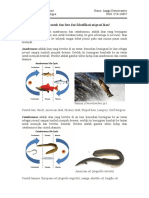 Klasifikasi Migrasi Ikan PDF