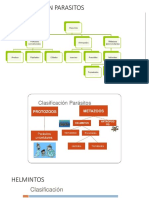 CLASIFICACIÓN PARASITOS